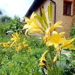 Berggasthof Sonne Allgaeu 3* سونثوفن