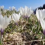 بيت ريفي Berggasthof Sonne Allgaeu