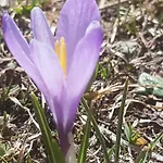 Berggasthof Sonne Allgaeu 3*
