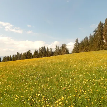 Berggasthof Sonne Allgaeu 3* سونثوفن
