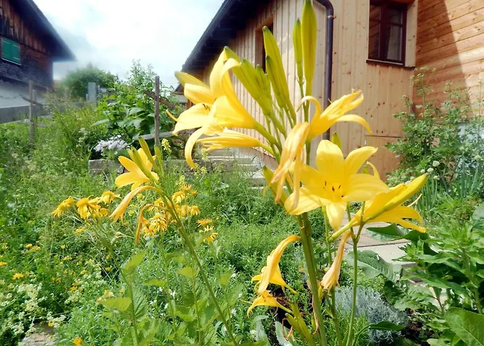 Berggasthof Sonne Allgaeu 3* זונטהופן
