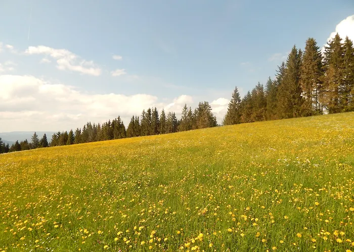 Berggasthof Sonne Allgaeu 3* זונטהופן